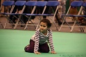 Crufts2011_2 142